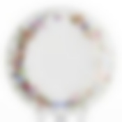 Тарелка закусочная (десертная) Domenik Crown Of Flowers, D=19 см