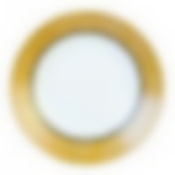 Тарелка столовая мелкая Luminarc Celebration, D=25 см