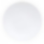 Тарелка столовая мелкая Luminarc Arena, D=25 см