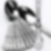 Ложки чайные 12шт. МВ