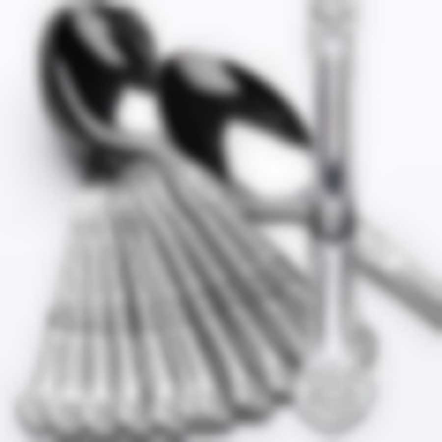 Ложки чайные 12шт. МВ