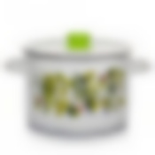 Кастрюля эмал цил Свежая зелень 4,5л ТМ Appetite 1с17с