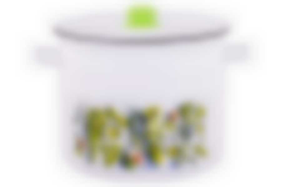 Кастрюля эмал цил Свежая зелень 9,0л ТМ Appetite 1с200с