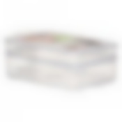 Контейнер для продуктов с декором Food System 2 секции 1,0 + 1,6 л (цвет в ассортименте)