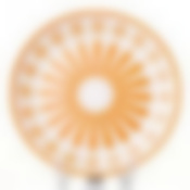 Тарелка большая Валенсия d=190 мм (оранж.-бел.)