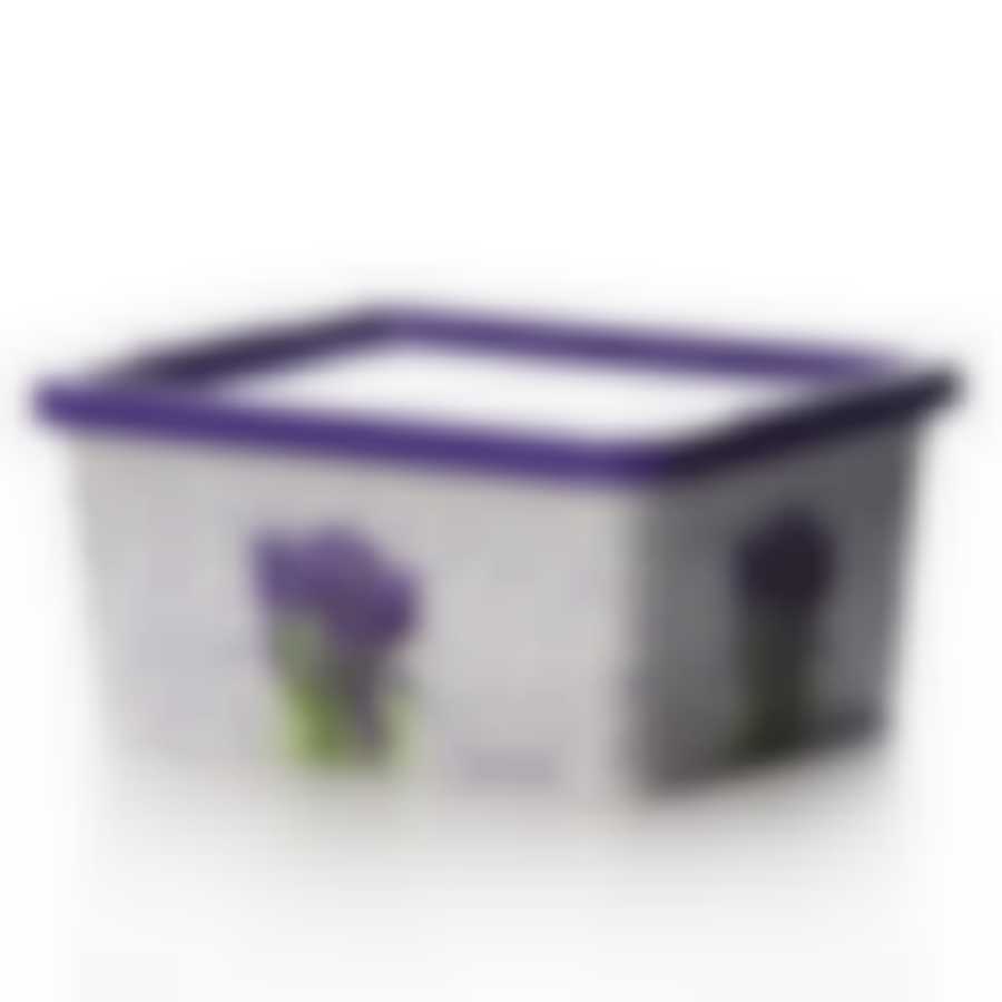 КОРОБКА для мелочей "Лаванда" 1,9л