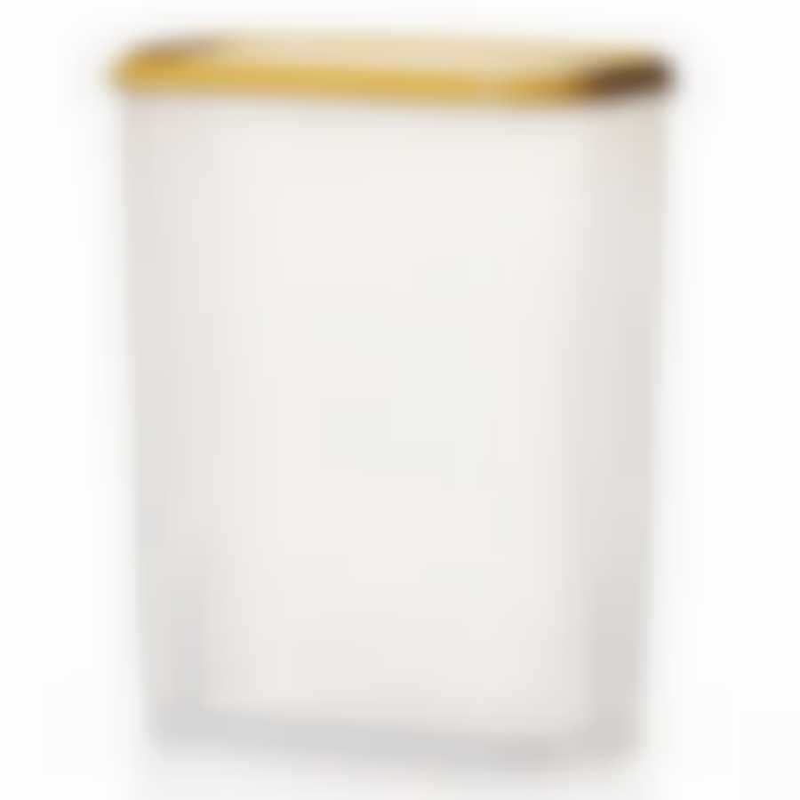 Ёмкость универсальная "Лайт" 3,0 л (цвет в ассортименте)