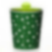 Банка с крышкой Горошек 2 л (бел.-зел.)