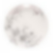 Тарелка обеденная PEONIA 24см