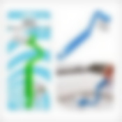 Щетка для унитаза  NEW 21 см. (цв. в ассортименте)