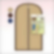 Чехол д/одежды 70смХ120см 3цв.