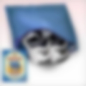 Чехол д/обуви ** (ГЛАДКОКРАШ) 36*32 3цв