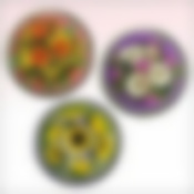 Поднос для сервировки (Букет ФОТО) d 22см 4 диз