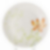 Блюдо плоское COLCHIC 30 см