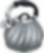 Чайник стальной со свистком 3,0 л (цвет в ассортименте)