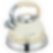 Чайник стальной со свистком 2,7 л