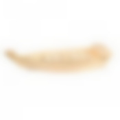 Блюдо Prohotel «Корабль», 33х55х15 см