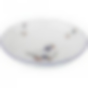 САЛАТНИК "ГУСИ" д=19см,в=4см