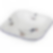 САЛАТНИК "ГУСИ" 16*16 СМ. ВЫСОТА=4 СМ