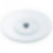 ТОРТОВНИЦА ВРАЩАЮЩАЯСЯ ДИАМЕТР=32 СМ.ВЫСОТА=3 СМ.