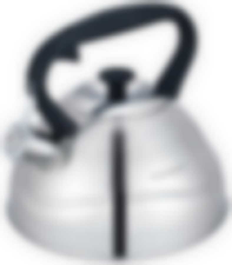 Чайник стальной со свистком 2,7л