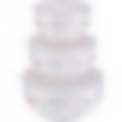 НАБОР КОНТЕЙНЕРОВ ДЛЯ ПИЩЕВЫХ ПРОДУКТОВ ИЗ 3 ШТ. 1000/800/300 МЛ. ДИАМЕТР=15/13/10 СМ