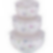 НАБОР КОНТЕЙНЕРОВ ДЛЯ ПИЩЕВЫХ ПРОДУКТОВ ИЗ 3 ШТ. 100/800/300 МЛ. ДИАМЕТР=15/13/10 СМ