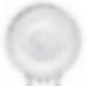 Тарелка плоская