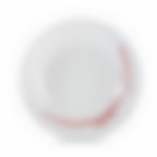 Тарелка обеденная ДОМИТИЛЬ РЭД 25см