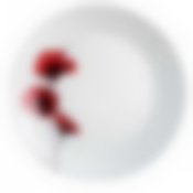 Тарелка обеденная БЕРТИЛЬ 25см