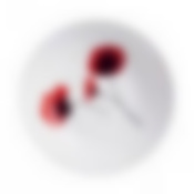 Тарелка суповая БЕРТИЛЬ 20см Luminarc