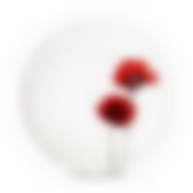 Тарелка десертная БЕРТИЛЬ 18см