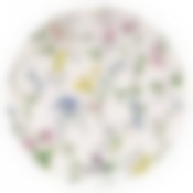 Тарелка десертная WILD BOTANICALS 19см