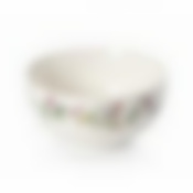 Салатник WILD BOTANICALS 14см