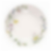 Тарелка суповая WILD BOTANICALS 21см