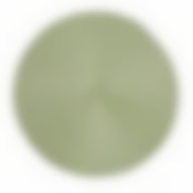 Мат на стол MEADOW 38см