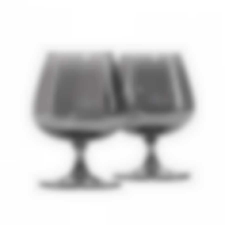 Набор бокалов для коньяка 410мл СИЯЮЩИЙ ГРАФИТ 2шт