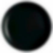 Тарелка обеденная ДИВАЛИ НУАР 25см