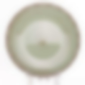 Тарелка плоская