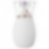 ВАЗА "CLAUDIA CLOE" ВЫСОТА 26СМ