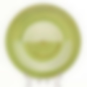 Тарелка плоская