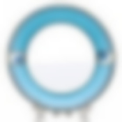 Тарелка обеденная "ЭЛАНА" 23 см