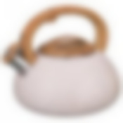 Чайник agness со свистком 3 л нжс