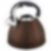 Чайник agness со свистком 3,0 л индукцион. капсульное дно