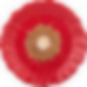 Блюдо Маковый цвет диаметр=19 см