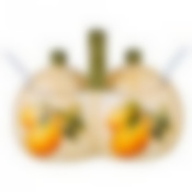 Банка для специй Лимоны 17*10*13 см.