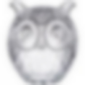 Емкость для специй Сова 12.5*10.5*14 см. коллекция Muza