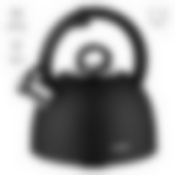 Чайник со свистком, 2,9 л, NADOBA, серия ANESA