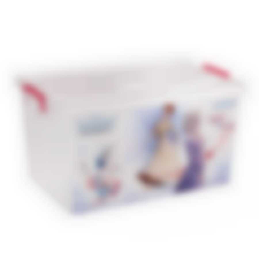 Контейнер "Холодное сердце 2" 50л (с крыш.) (цвет в ассортименте)