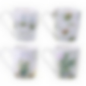 Кружка 320мл ЦВЕТУЩИЕ КАКТУСЫ 4 вида (12/48)